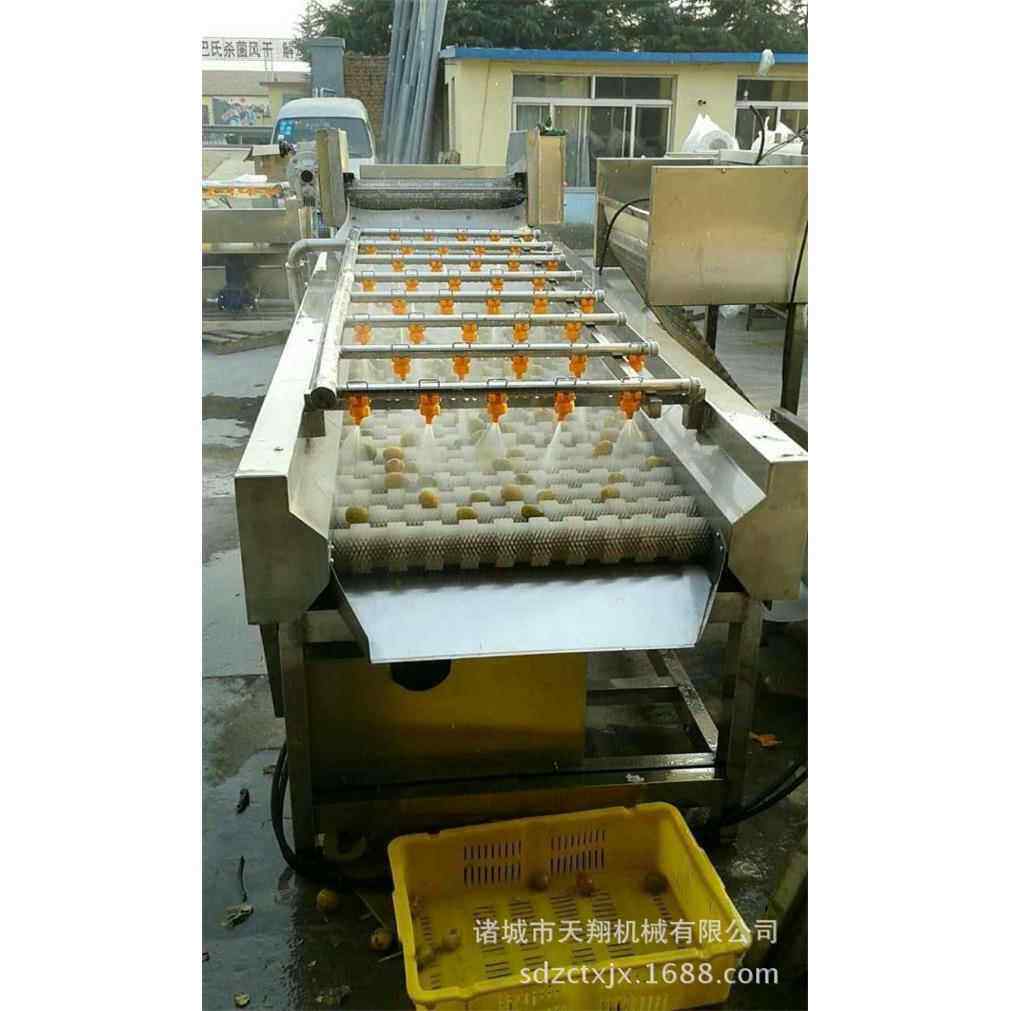 小型毛辊清洗机天翔机械厂家质优价廉