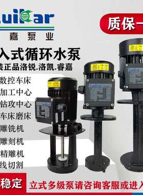 数控AMP机床水泵汽车充电式高水压切割精雕泵L线DPB机电子压缩