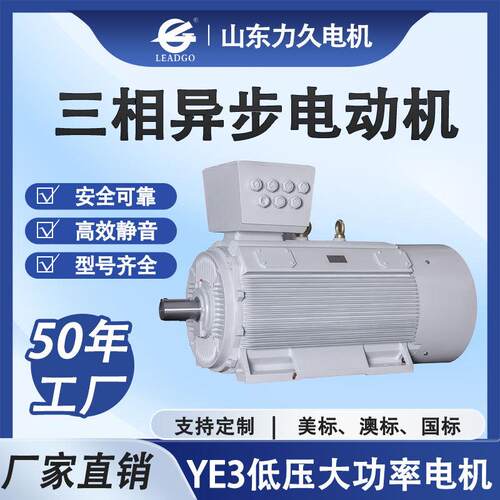 YE3低压大功率电动机三相异步380/660V纯铜线圈电机动力强劲