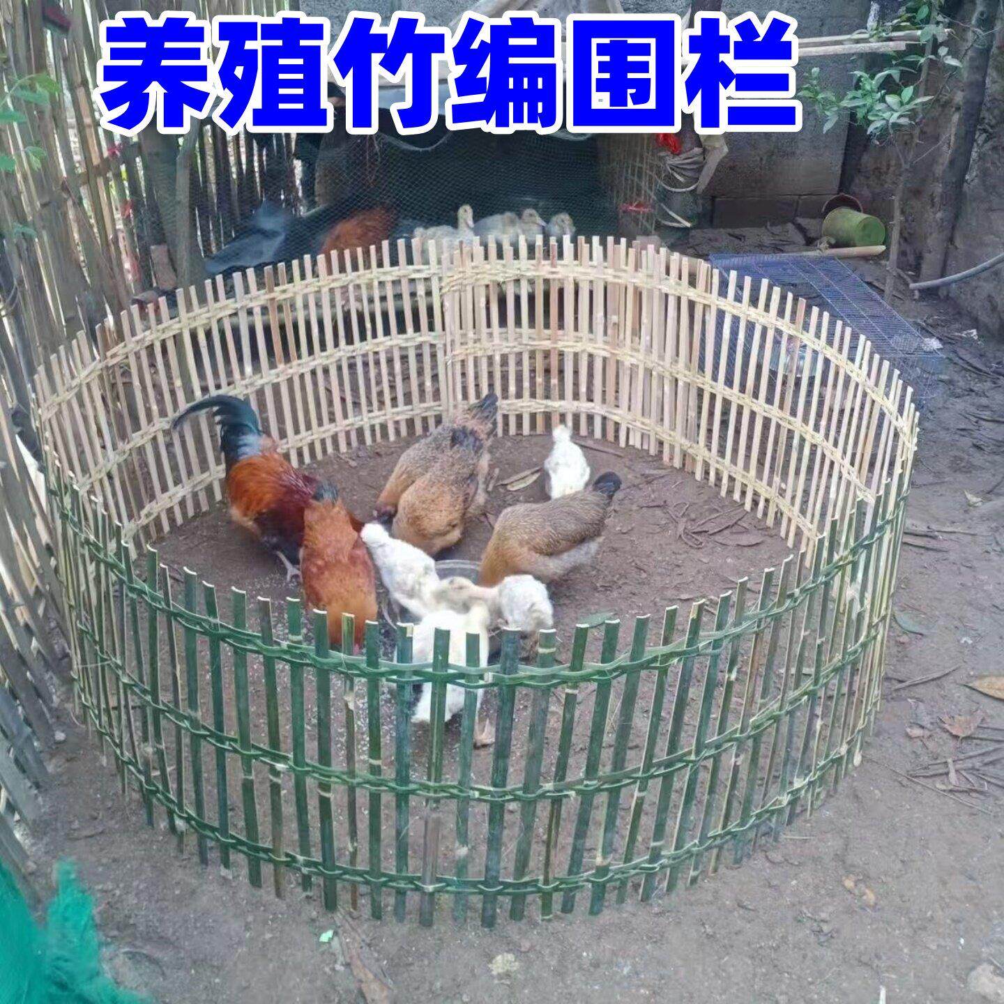 竹编围栏养鸡鸭鹅笼护栏装饰道具竹篱笆菜园小院栏摆摊卖鸡围栏