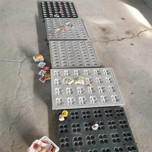 全自动拉伸膜真空包装机模具全铝6061材质食品模具加工鹌鹑蛋模具