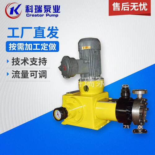 厂家供应保温计量泵微型隔膜保温型计量泵不锈钢水泵