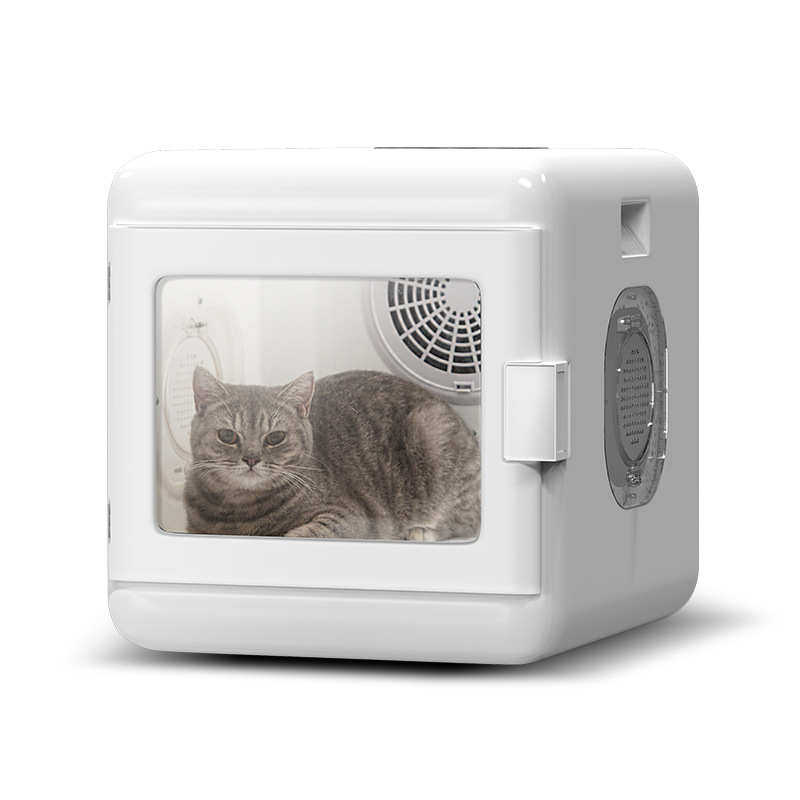 吹风机狗狗猫咪烘干水机箱静音宠物吹全自动烘干机小型犬家用