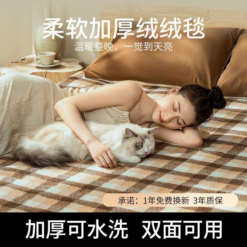 2025新款电热毯褥子单双人学生宿舍小尺寸双控调温开关发热环鼎牌