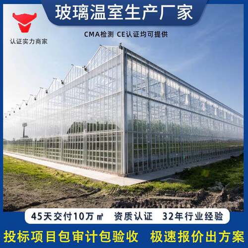 农业育苗大棚骨架瓜果蔬菜种植大棚农业观光连栋智能玻璃温室大棚
