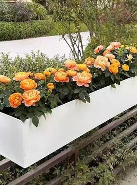 长方形挂式花盆懒人自吸水长条型阳台栏杆悬挂花箱护栏可挂式花槽