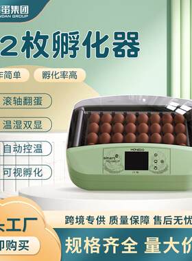 家用2枚鸡蛋小型孵化器农场家禽养殖孵化机小鸡孵蛋器
