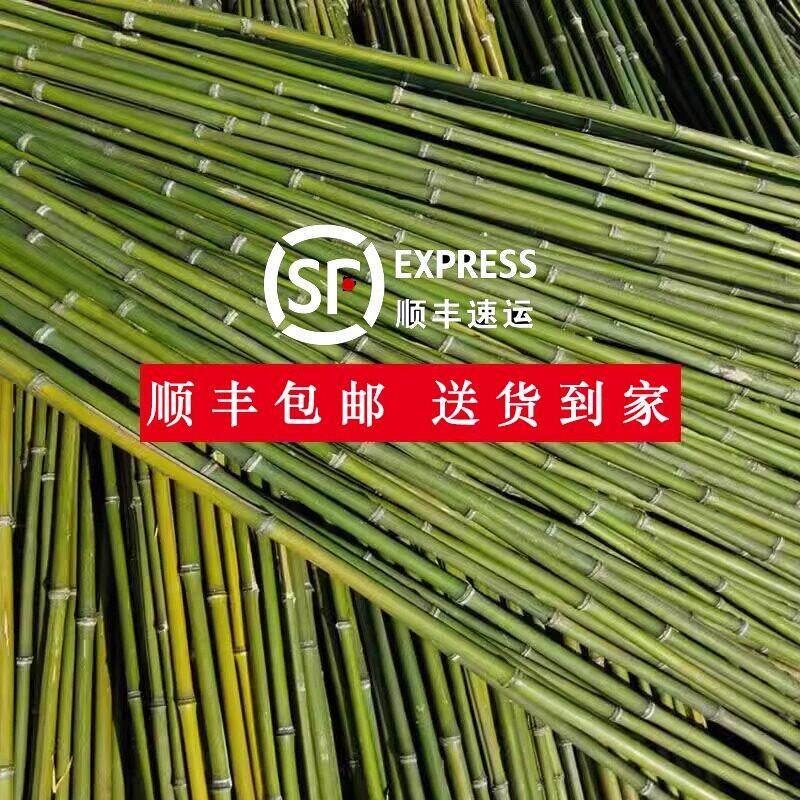 竹竿菜园搭架蔬菜黄瓜番茄豆角架杆竹篱笆栅栏小竹子细竹竿爬藤架