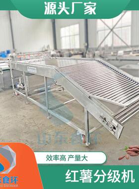 红薯干成套设备大枣滚杠分级机自动称重重量分选机果蔬检选机