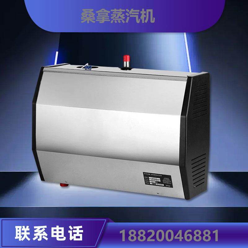 跨境热卖桑拿蒸汽机 全不锈钢湿蒸机桑拿房设备 蒸汽发生器厂家