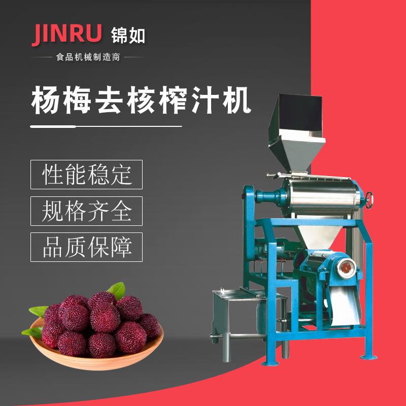 杨梅去核榨汁机组商用果蔬榨汁加工设备大型冲浪洗果机