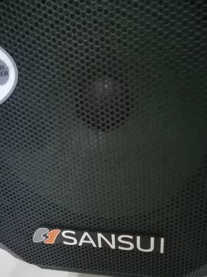 山水SS1户外K歌移动拉杆音响质量诉说体验后讲一讲感受