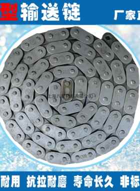 C型输送链直板链条C08B C10A C10B C12A C12B C16AC16B C20A C32A