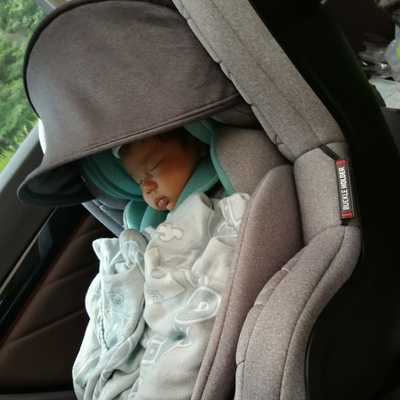 震撼反馈！惠尔顿安全座椅怎么样？直击评测优缺点