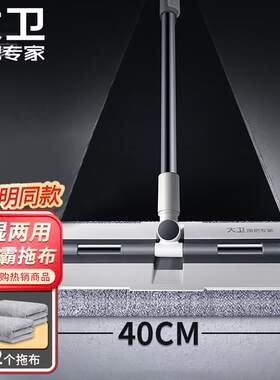 大卫 夹布式平板拖把大配布巨无霸卡扣设计P8 1杆2布单驱动滑片式