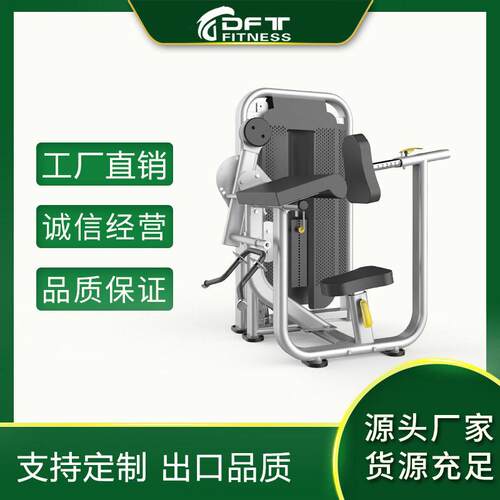 DFT-1690健身房企事业位用二头肌三头肌训练器商用健身器材厂家