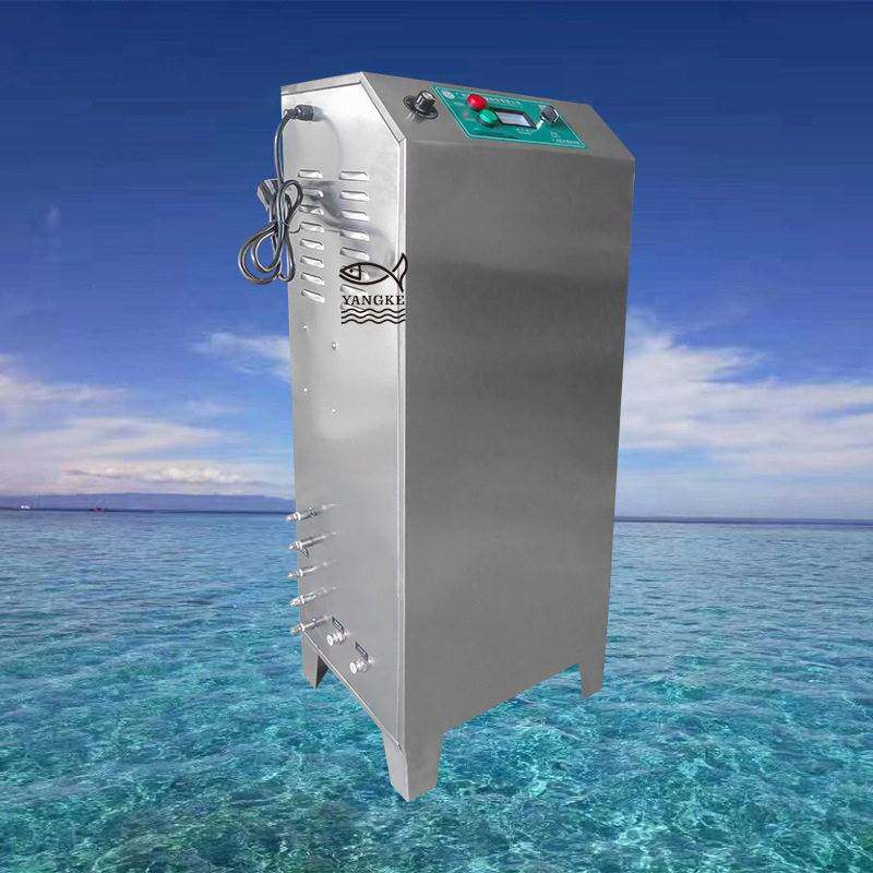 厂家直供低浓度空气源臭氧发生器养殖尾水处理空气净化臭氧机