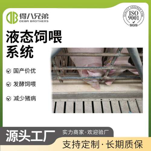 专业设计猪场液态料饲喂设备贴合养殖需求精准设计