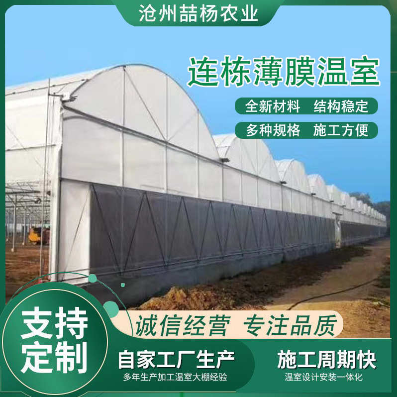 连栋薄膜温室大棚 外遮阳内保温农业大棚现货园林花卉草莓连栋大