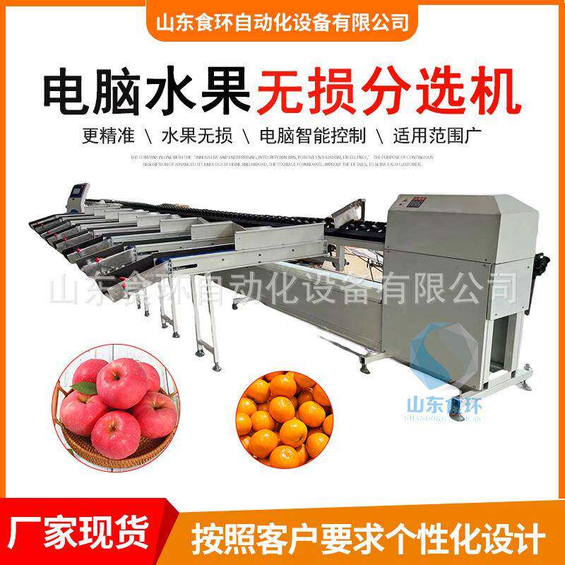 西红柿桃子梨智能分选机电脑水果无损分级机电子智能称重分选机