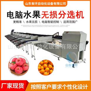 电脑水果无损分级机电子智能称重分选机橙子苹果重量分级机