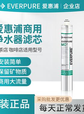 爱惠浦净水器滤芯MC2 4FC-S 7FC-S I20002 I5002BH2 MH2 7FT商用