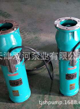 QSP喷泉泵 304喷泉泵 景观喷泉专用泵 景观喷泉泵 不锈钢喷泉泵