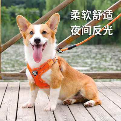 狗狗用牵引绳边牧专用牵引绳背心式中小型犬柯基专用脖圈遛狗绳可