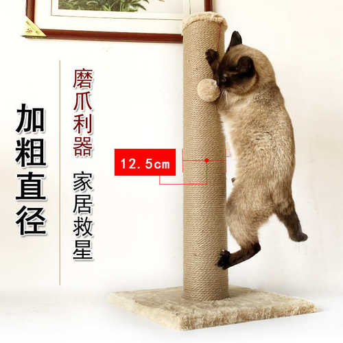 猫抓猫板树剑麻猫架跳台罗马结实猫猫猫磨抓柱柱猫咪猫爬抓耐爪子