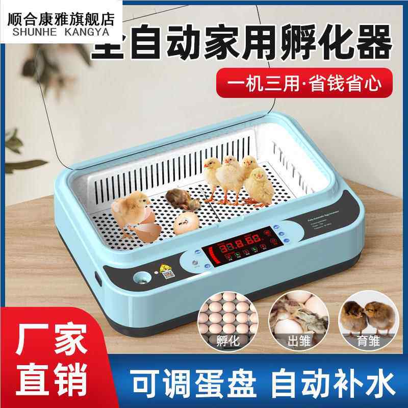 孵小鸡的机器家用芦丁鸡珍珠鸟鹌鹑鹦鹉鸽子小型孵蛋器儿童孵化机