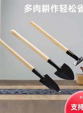 A set of three gardening tools for home succulent plant care