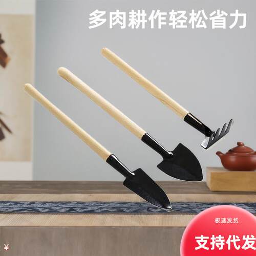 A set of three gardening tools for home succulent plant care