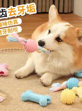 狗狗玩具耐咬磨牙小型犬宠物 TPR小狗棒金毛柯基洁齿球磨牙用品