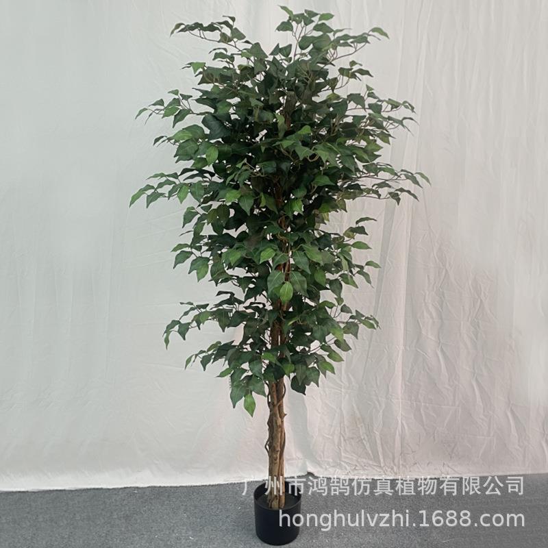 仿真迷你榕垂榕高山榕仿真榕树绿植盆栽造景装饰摆件房间假榕树厂