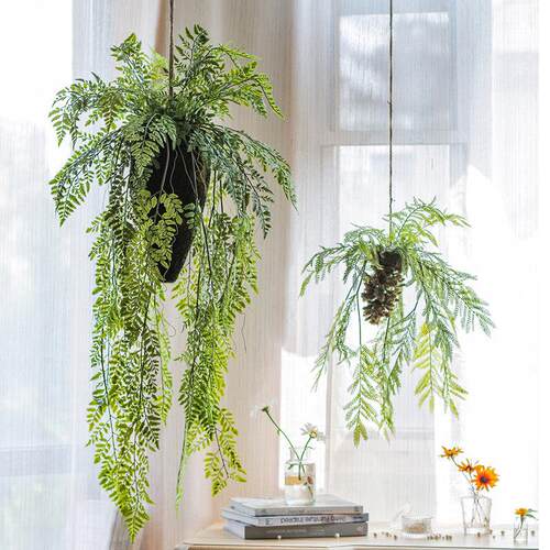 掬涵彷真蕨类植物吊球吊饰空中垂吊挂饰绿植花艺壁挂橱窗装饰森系