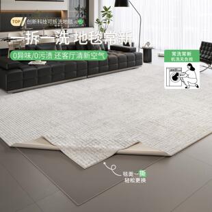 意式地毯客厅可机洗新款防水防污轻奢高级可拆洗家用卧室加厚地毯
