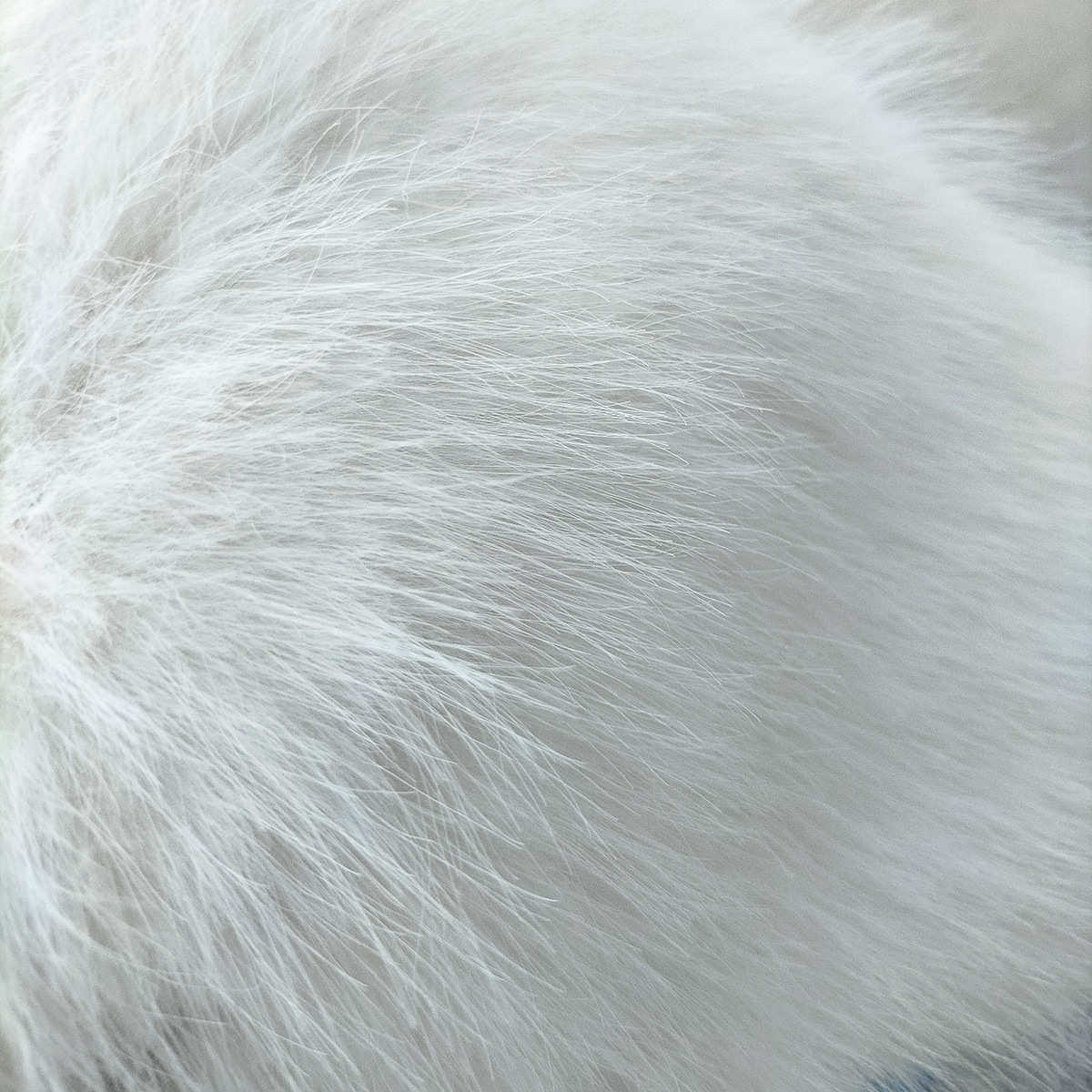 1500克25MM毛高高低毛狐狸毛面料仿毛皮高低毛服装毛毛领毛球布料