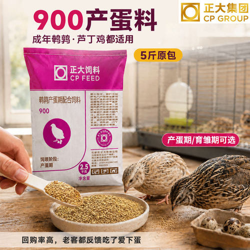 正大900鹌鹑芦丁鸡产蛋开口饲料