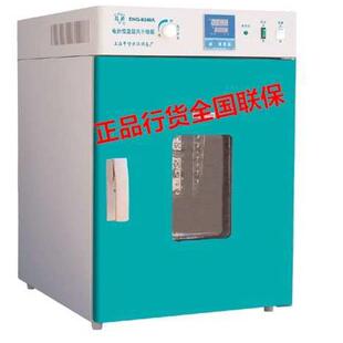 鼓风干燥箱/DHG-9140A电热鼓风干燥箱