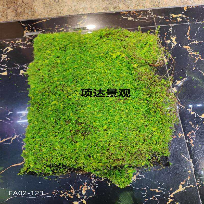 仿真草皮椰丝苔藓景观造景永生大灰藓青苔盆景盆栽铺面装饰