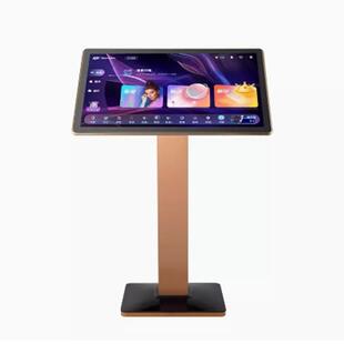 雷石雷客分一体机唱享E19卡拉ok家庭KTV点歌机触摸屏智能语音双系