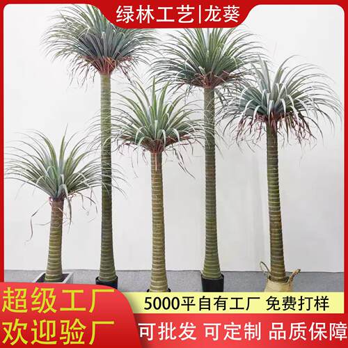 仿真龙葵树北欧龙血铁树落地绿植盆栽家居橱窗装饰仿真绿植丝兰树