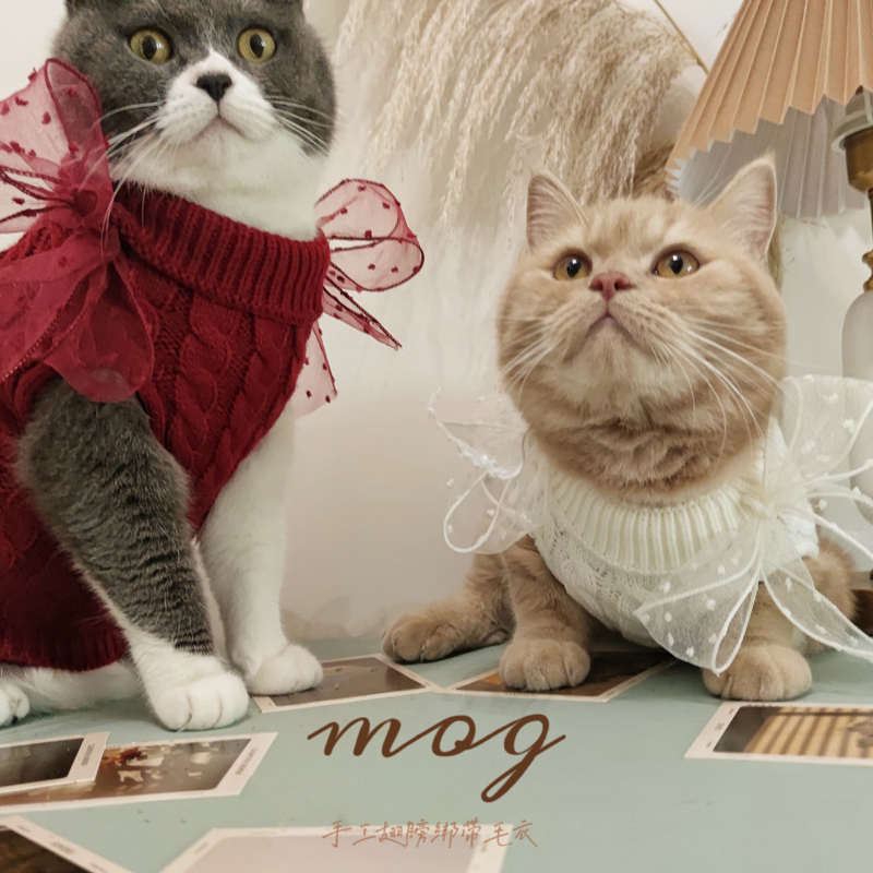 MOG 宠物超萌毛衣新年暖和猫咪英短秋冬衣服小型犬蝴蝶结手工制造