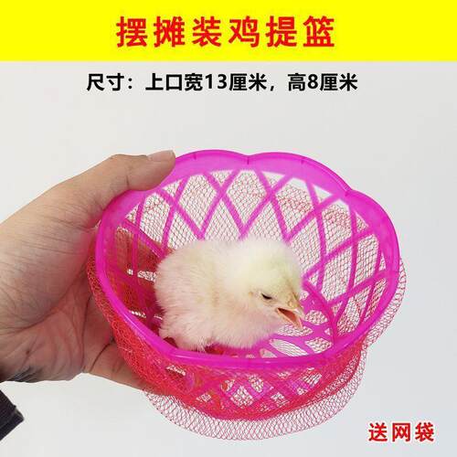 带装摆摊户外手提篮套圈摆摊仓鼠网袋小鸡篮子装装小乌龟广场小鸭