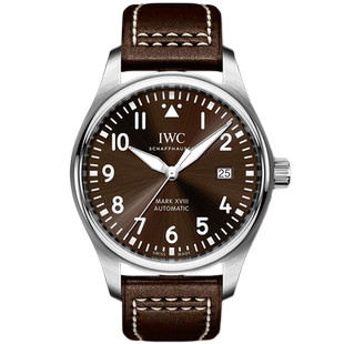 万国飞行员系列精钢日期显示自动机械手表男IW327003 9.8新