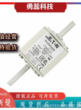 保险丝熔断器 170M3062 170M3063 170M3064