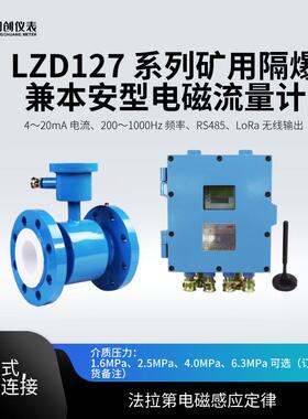 LZD127/200G矿用流量计DN300红外遥控RS485管段法兰10MPa