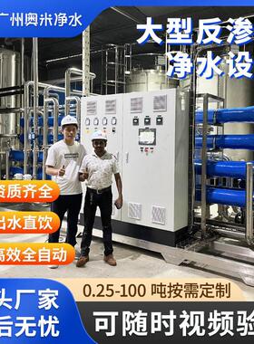 30吨大型RO反渗水处理设备工业净水器去离子直饮水机纯水机水软化