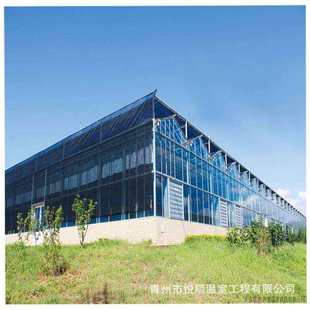 花卉农业养殖温室大棚工程 温室大棚 文洛型连栋智能玻璃温室