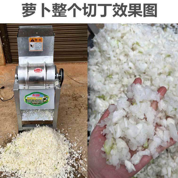 切丁机不锈钢小型养殖瓜果萝卜水果颗粒机家用土豆电动打丁机红薯